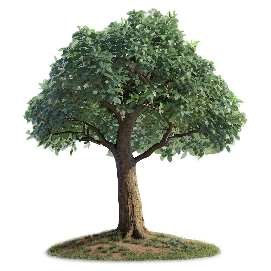 Small Tree In Field Png Goe