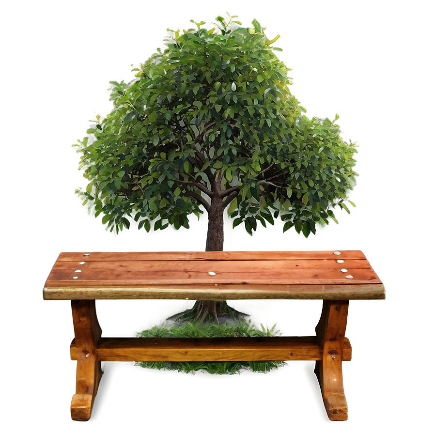 Small Tree With Bench Png 06132024