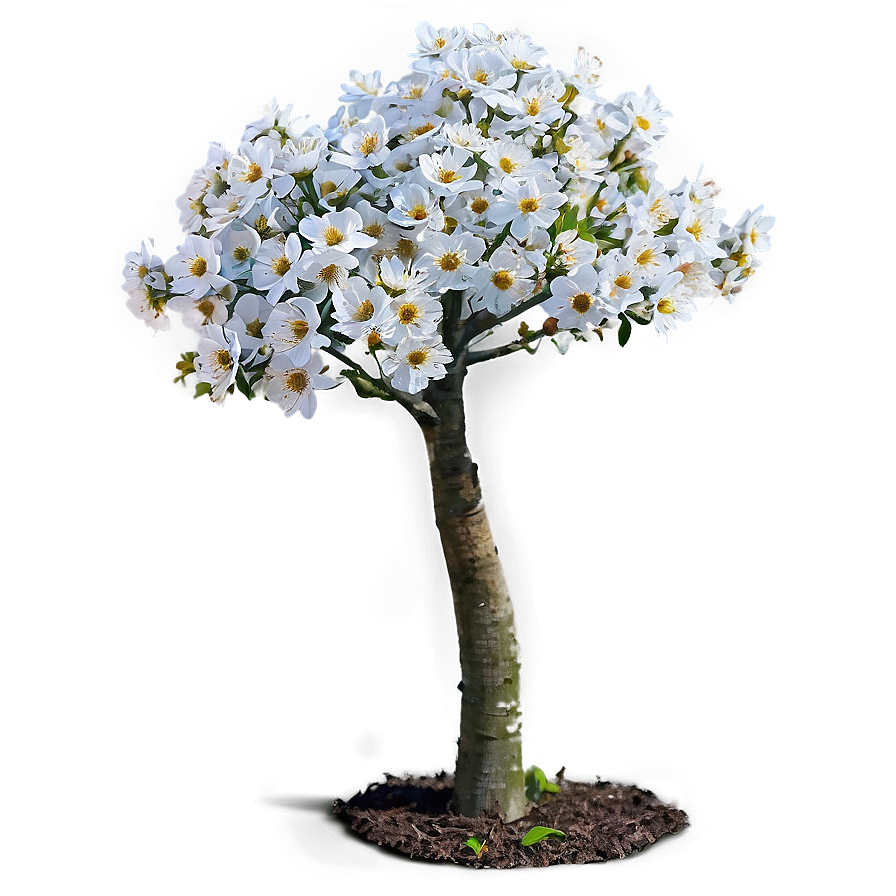 Small Tree With Flowers Png 5