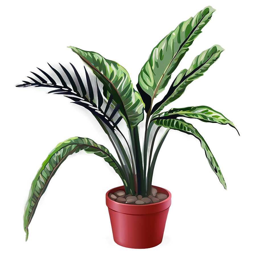 Small Tropical Plant Png Deg48