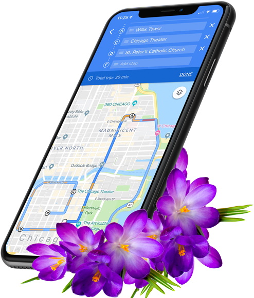 Smartphone Navigation Saffron Flowers