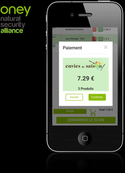 Smartphone Online Payment Interface