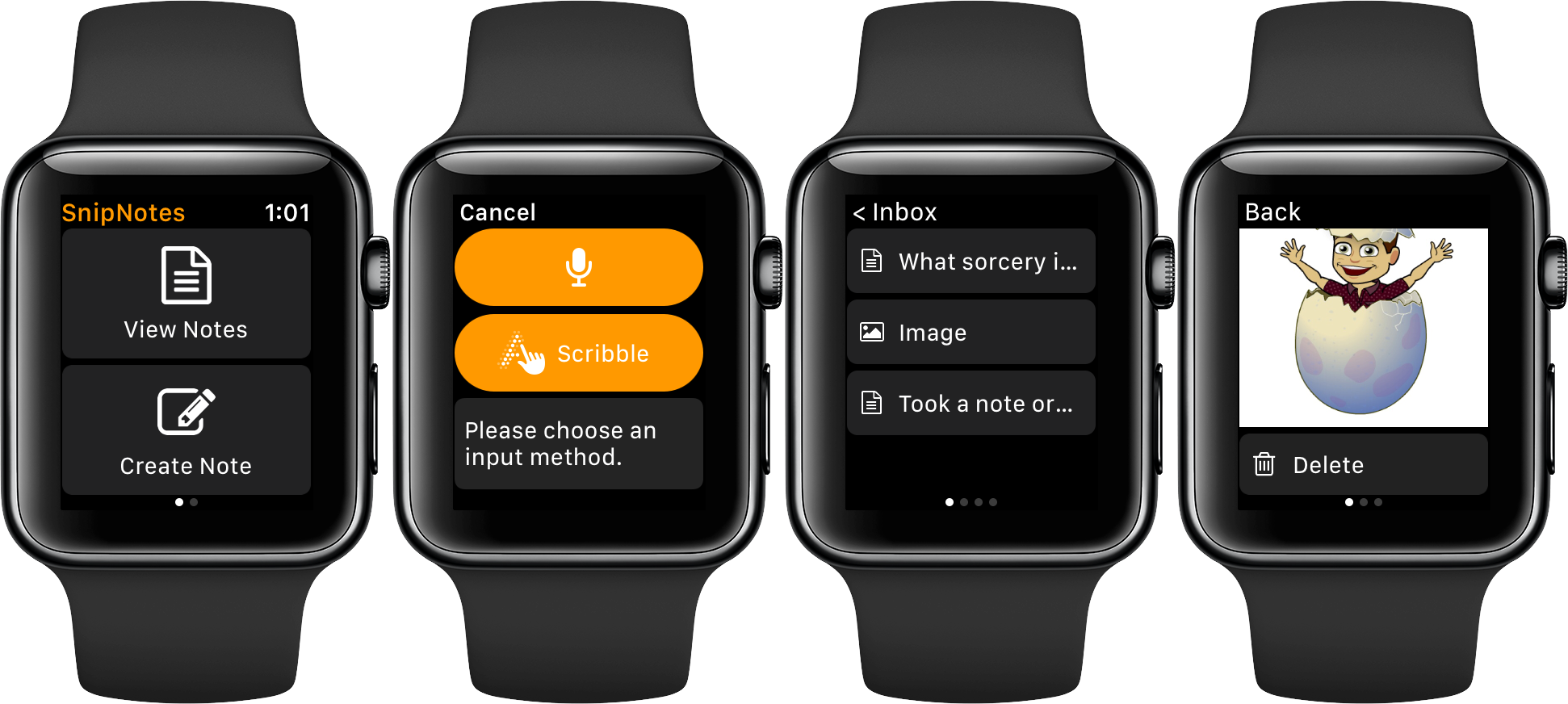 Smartwatch App Interface Display