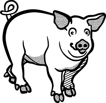 Smiling Blackand White Pig Illustration