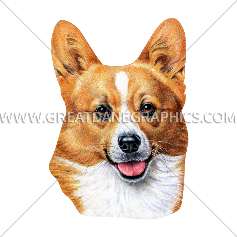 Smiling Corgi Portrait