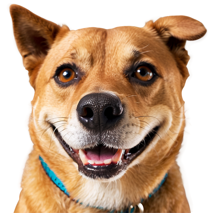 Smiling Dog Head Image Png Fuw30