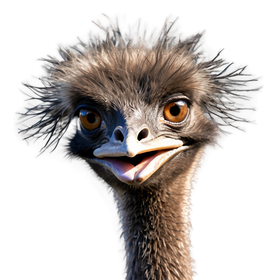 Smiling Emu Png Tcv24