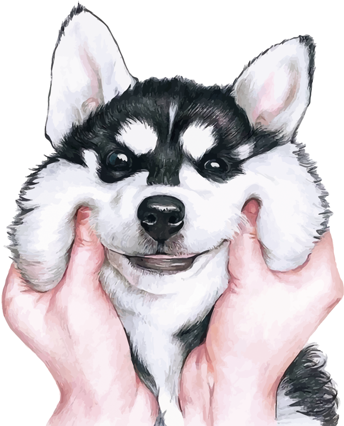 Smiling Husky Puppyin Hands