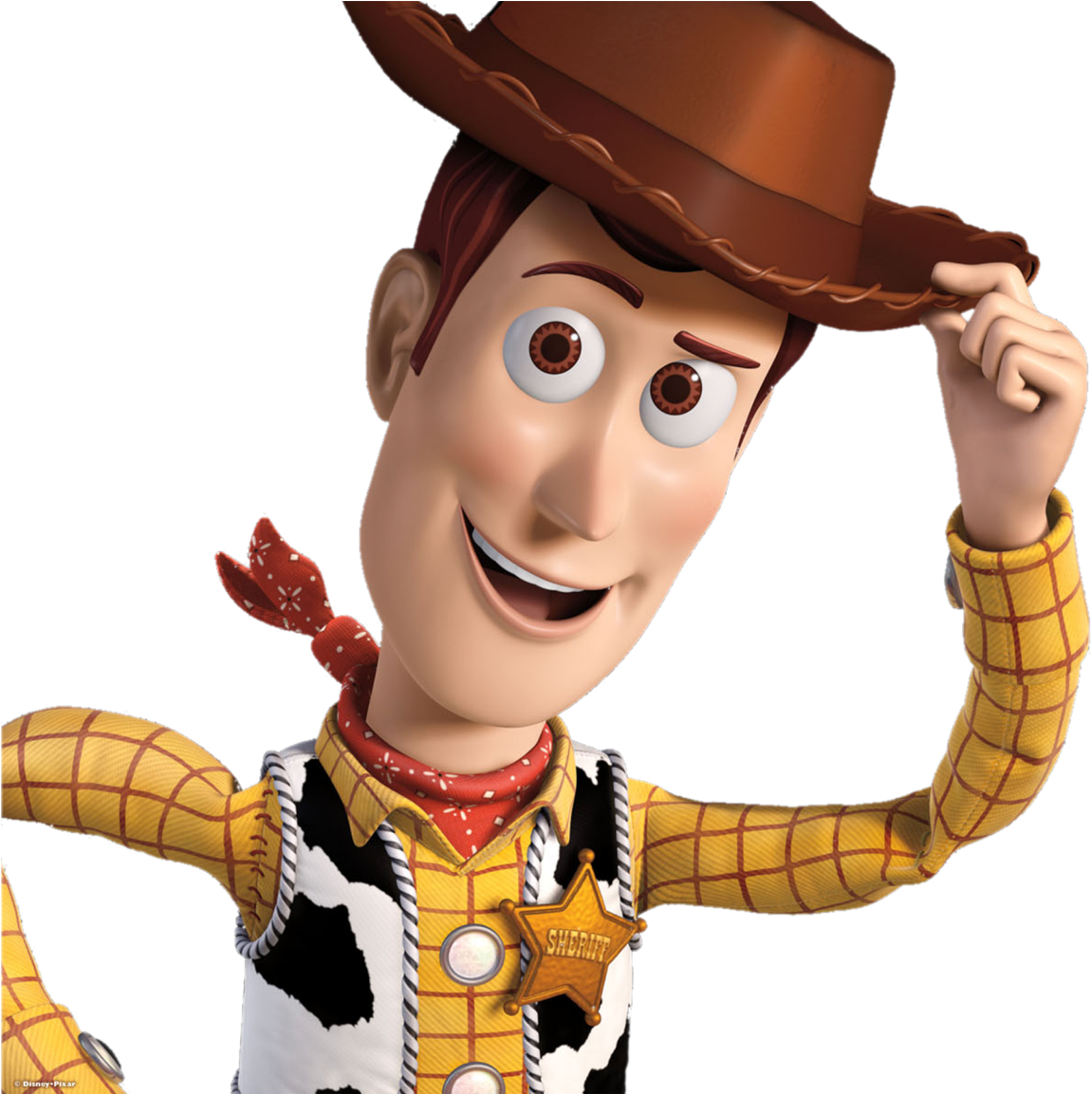 Smiling Sheriff Woody Portrait