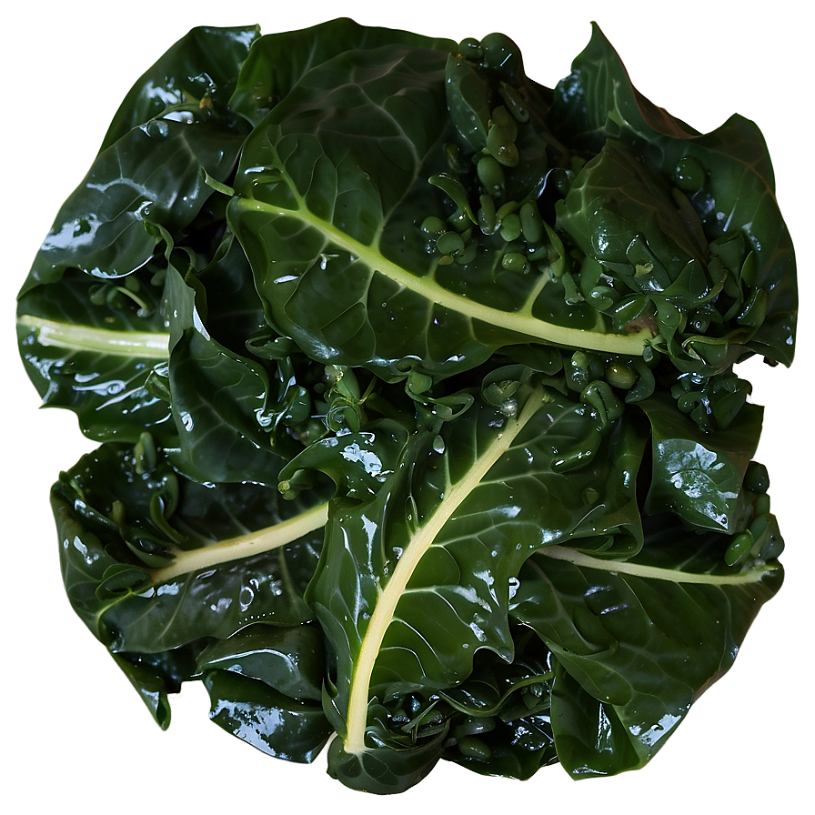 Smothered Collard Greens Png Sqs30