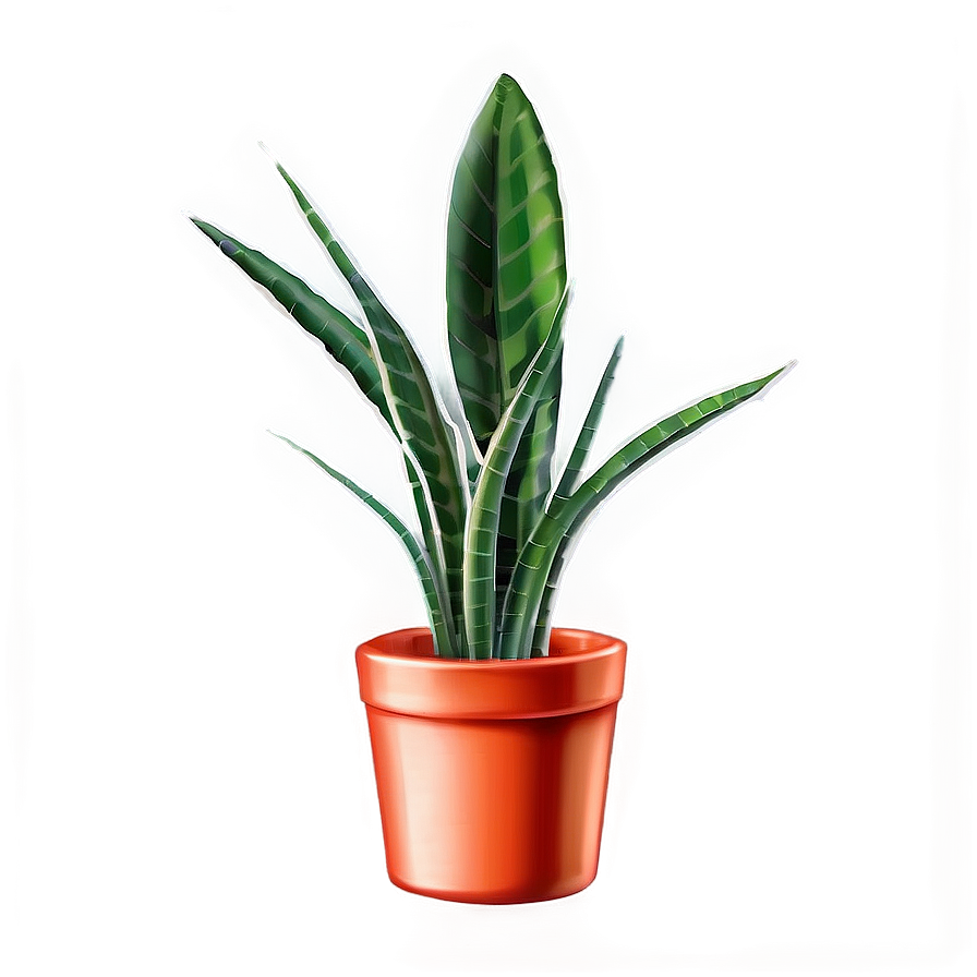 Snake Plant Illustration Png 06122024