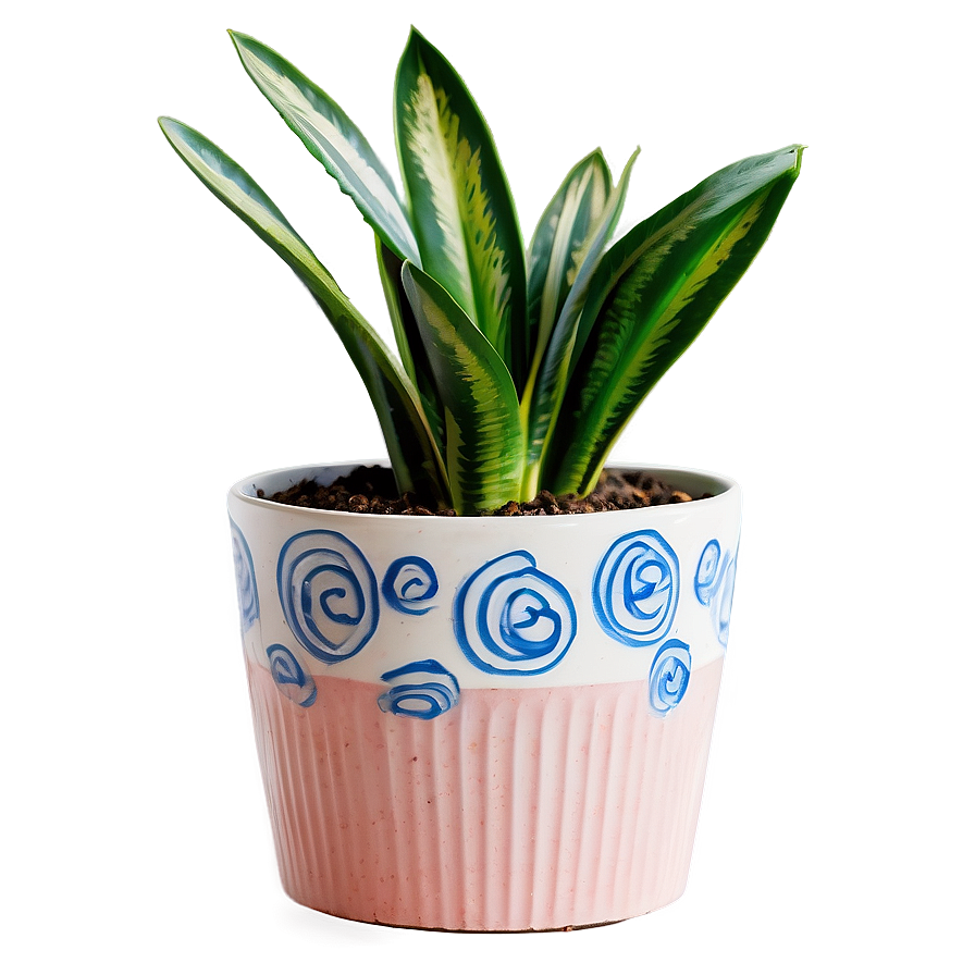 Snake Plant In Living Room Png 06122024