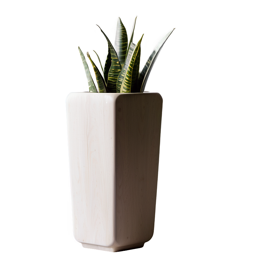 Snake Plant On Desk Png Xwr69