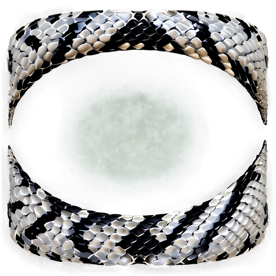 Snake Skin Appearance Png 06272024