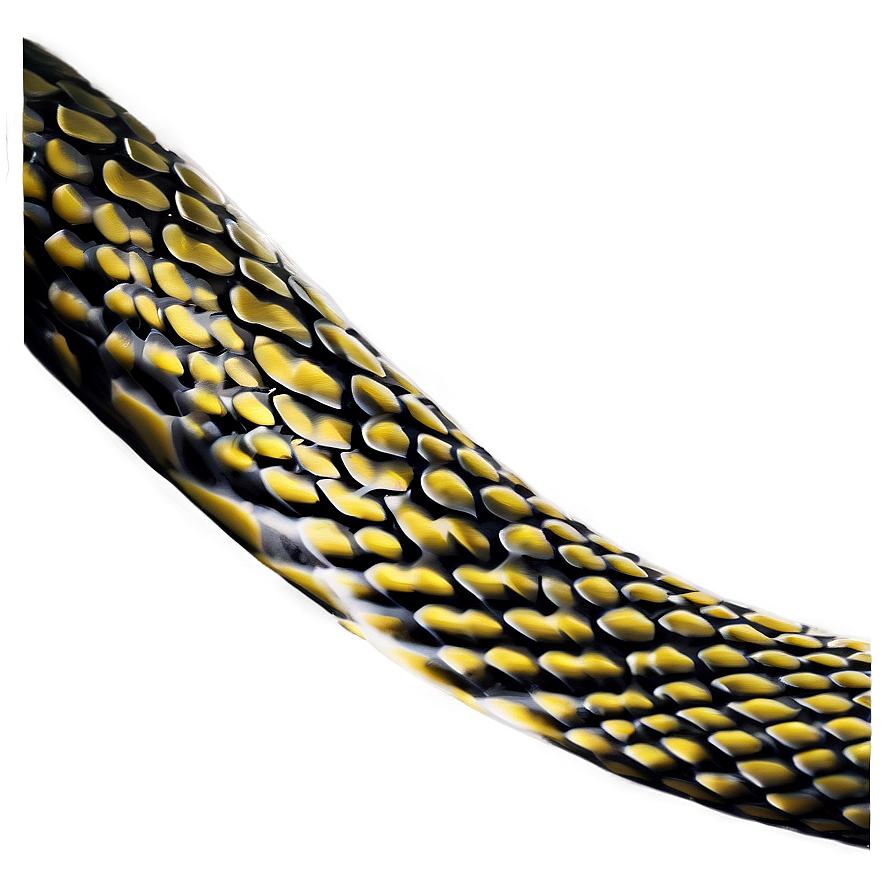 Snake Skin Appearance Png 27