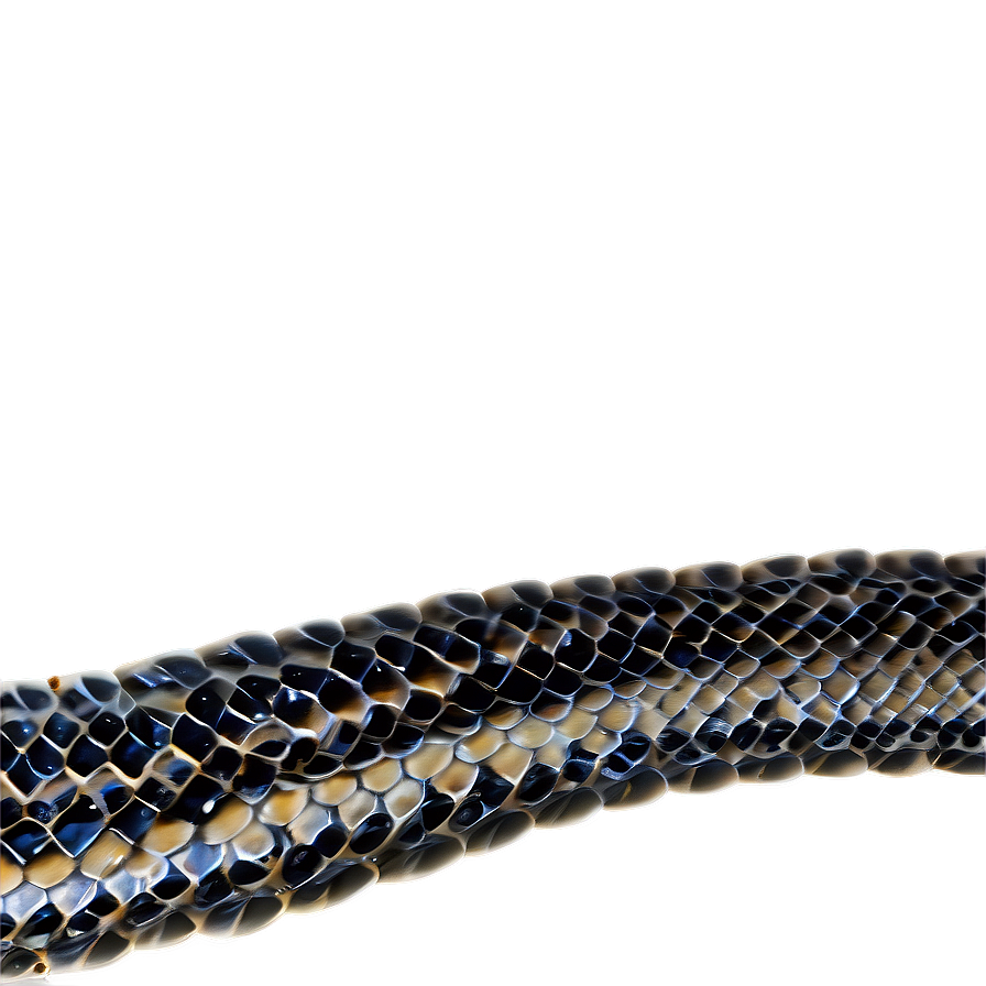 Snake Skin Style Png 47