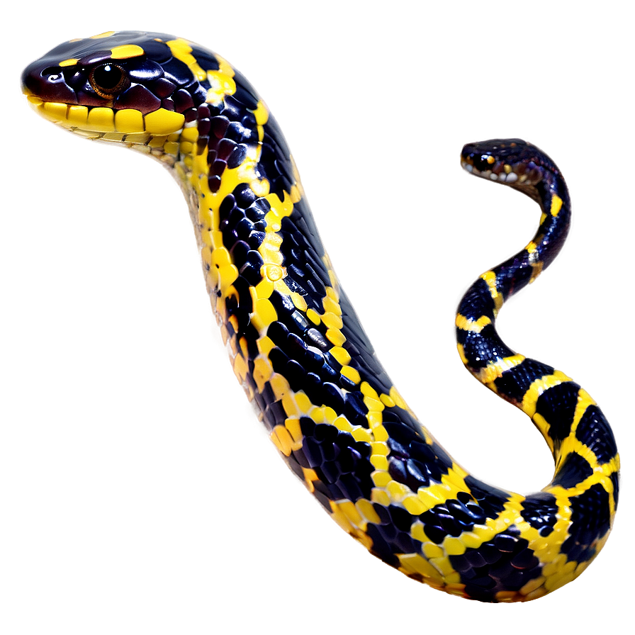 Snake Tail Png 27