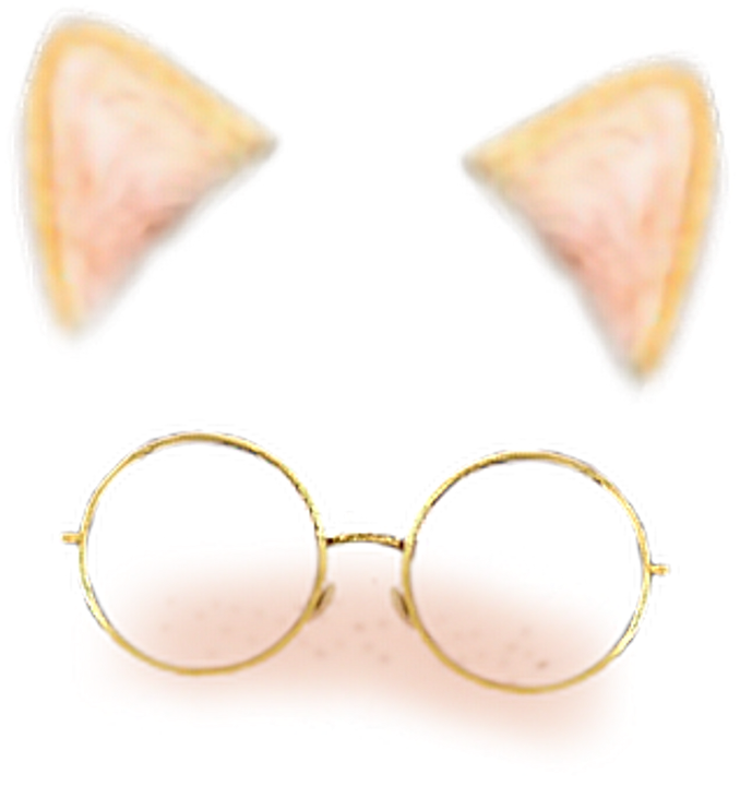 Snapchat Cat Earsand Glasses Filter