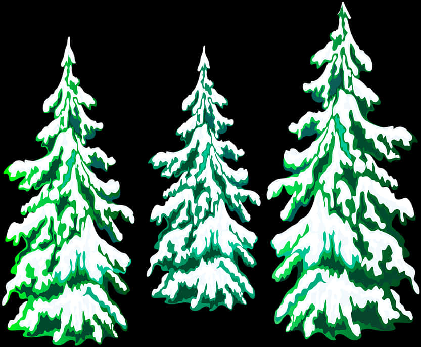 Snow Covered Pine Trees Illustration