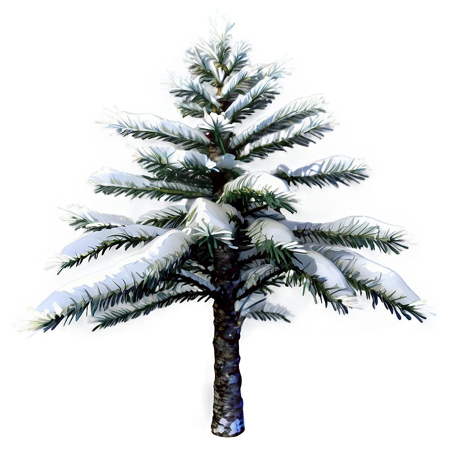 Snow-covered Spruce Tree Png 40