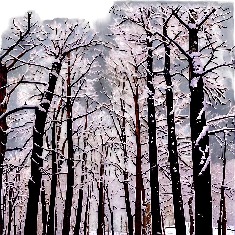 Snow Covered Woods Png 53