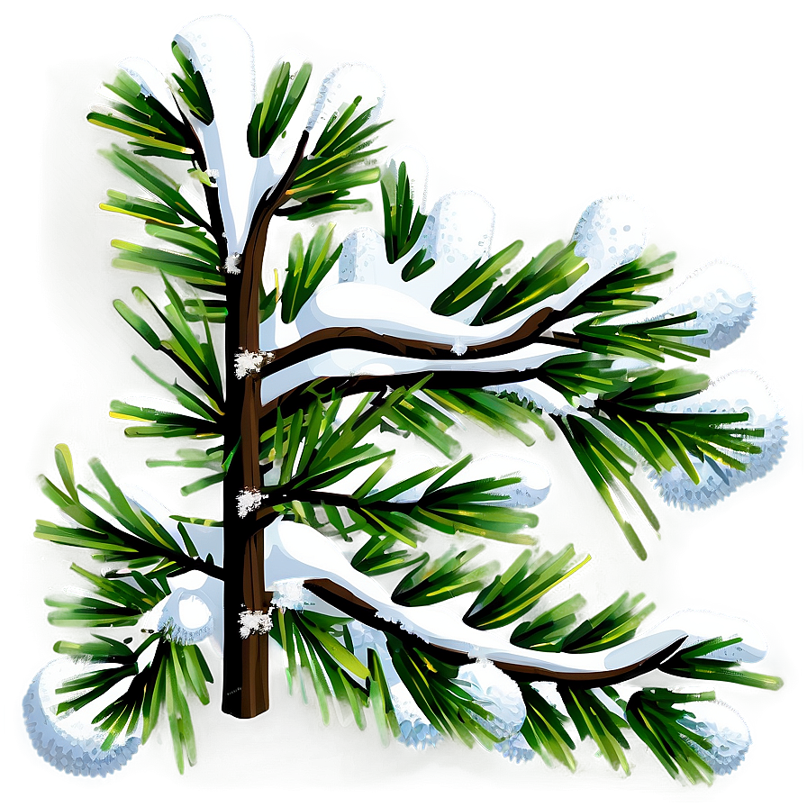 Snowy Branches Transparent Png 05252024