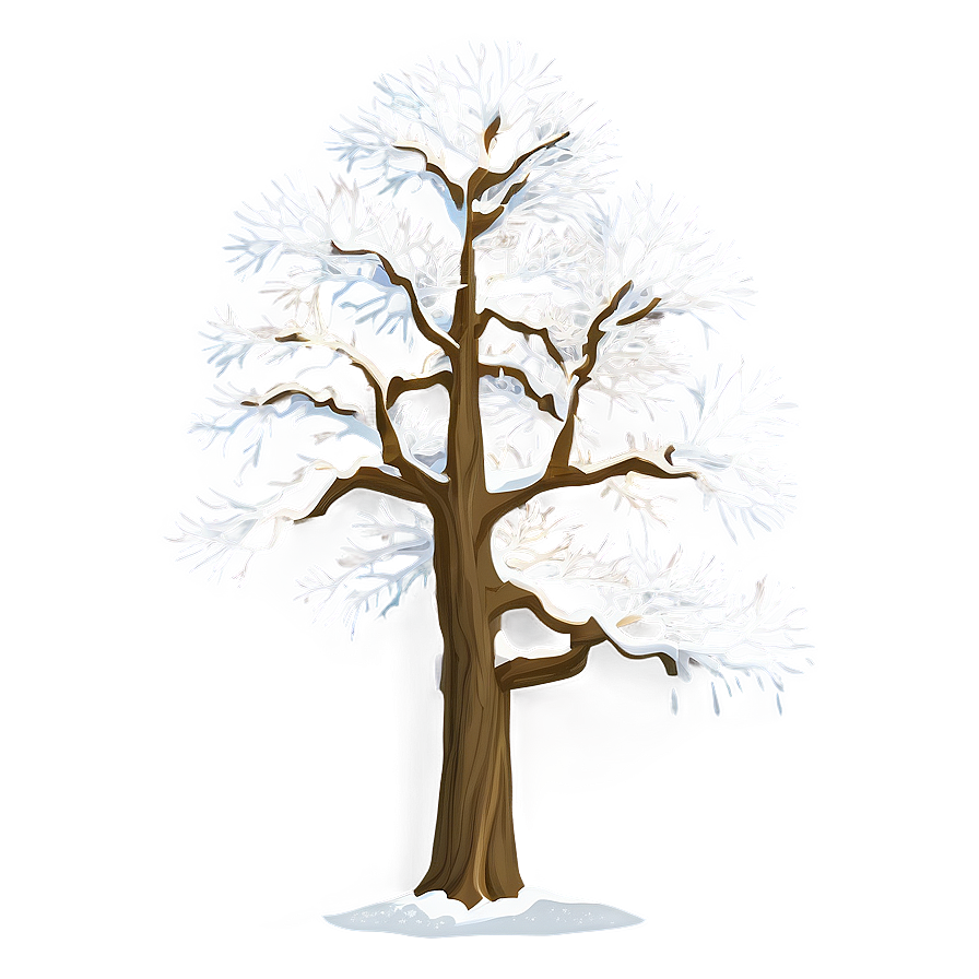 Snowy Elm Tree Png 97