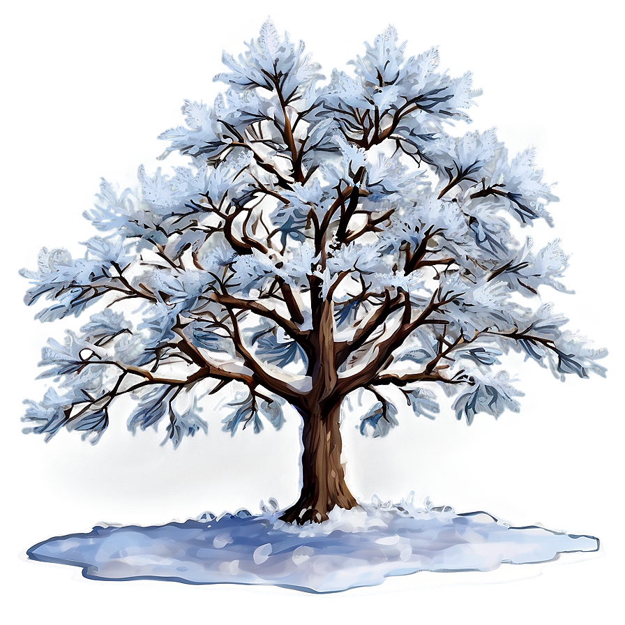 Snowy Maple Tree Png Qir