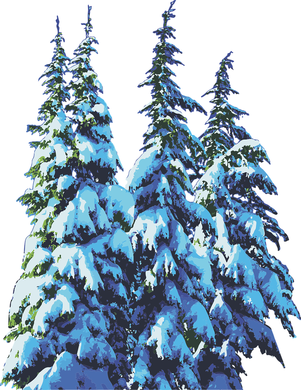 Snowy Pine Trees Winter Scene