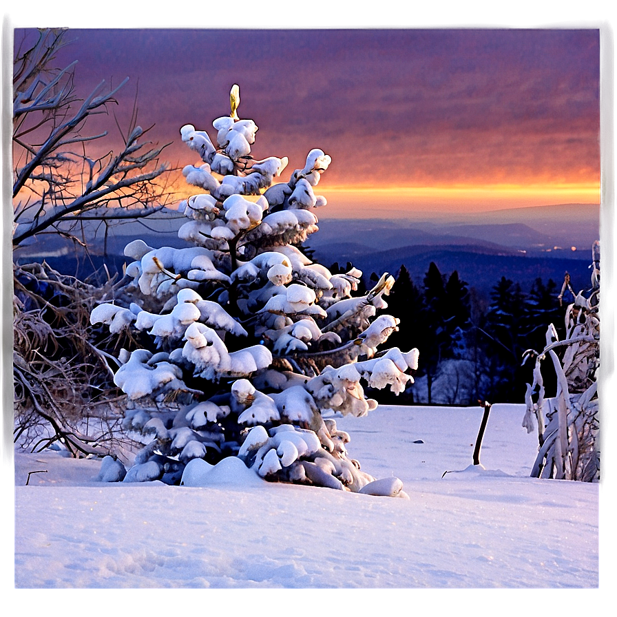 Snowy Tree At Dusk Png Owb76