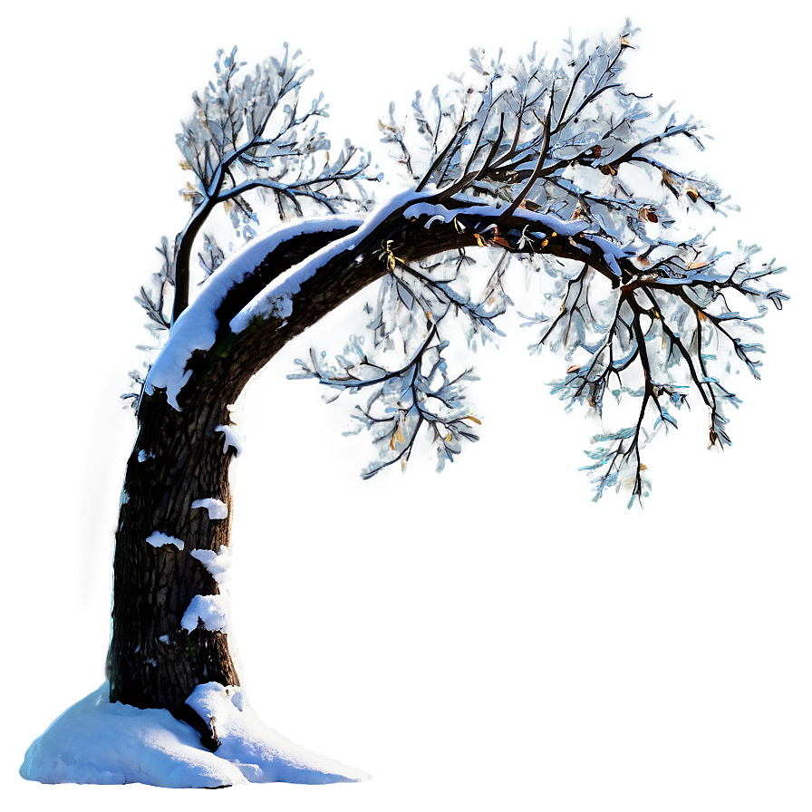 Snowy Tree Night Png 06272024