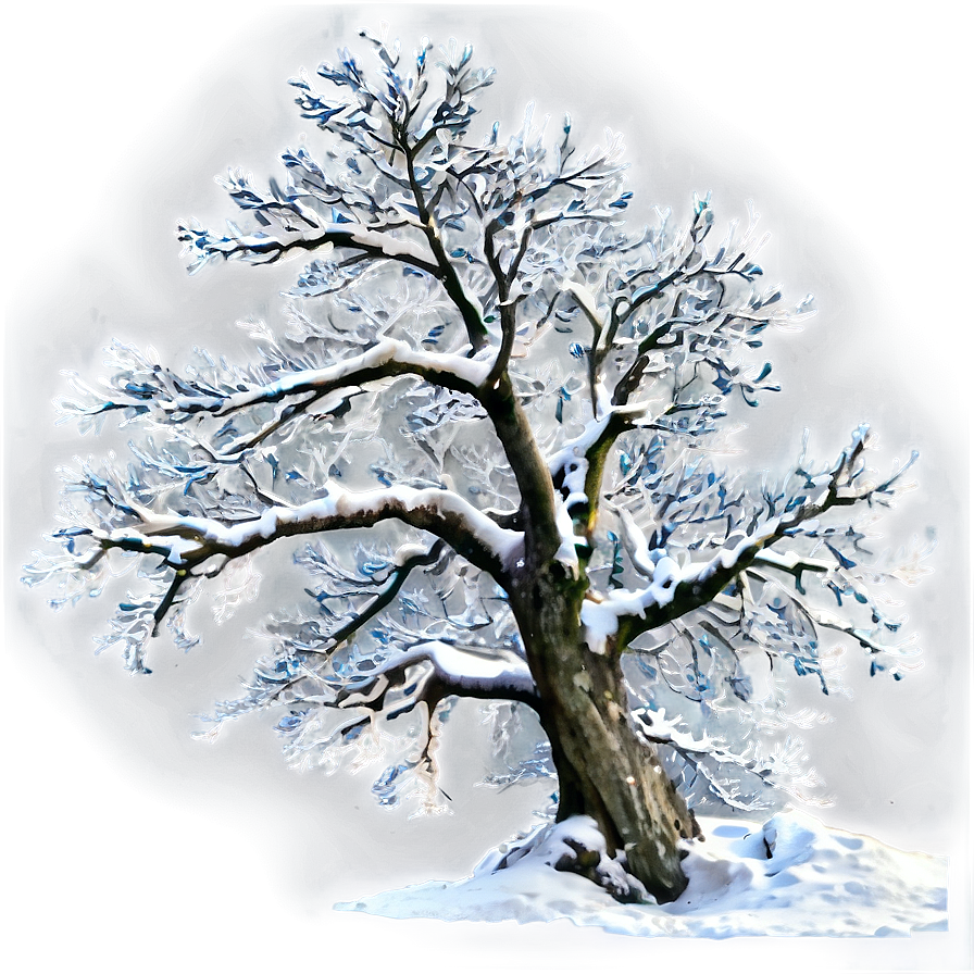 Snowy Tree On Mountain Png 60