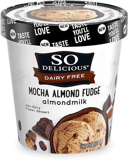 So Delicious Dairy Free Mocha Almond Fudge Ice Cream