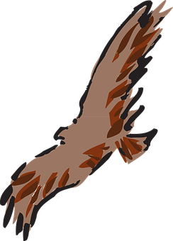 Soaring Brown Eagle Silhouette