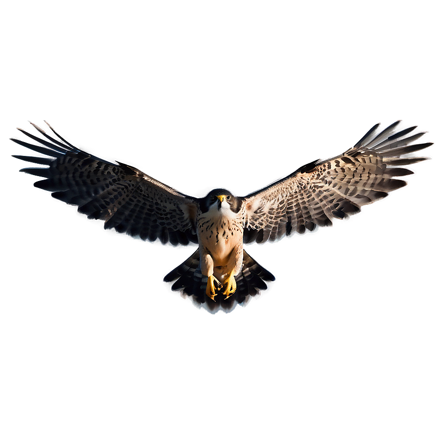 Soaring Falcon Silhouette Png Vkx46