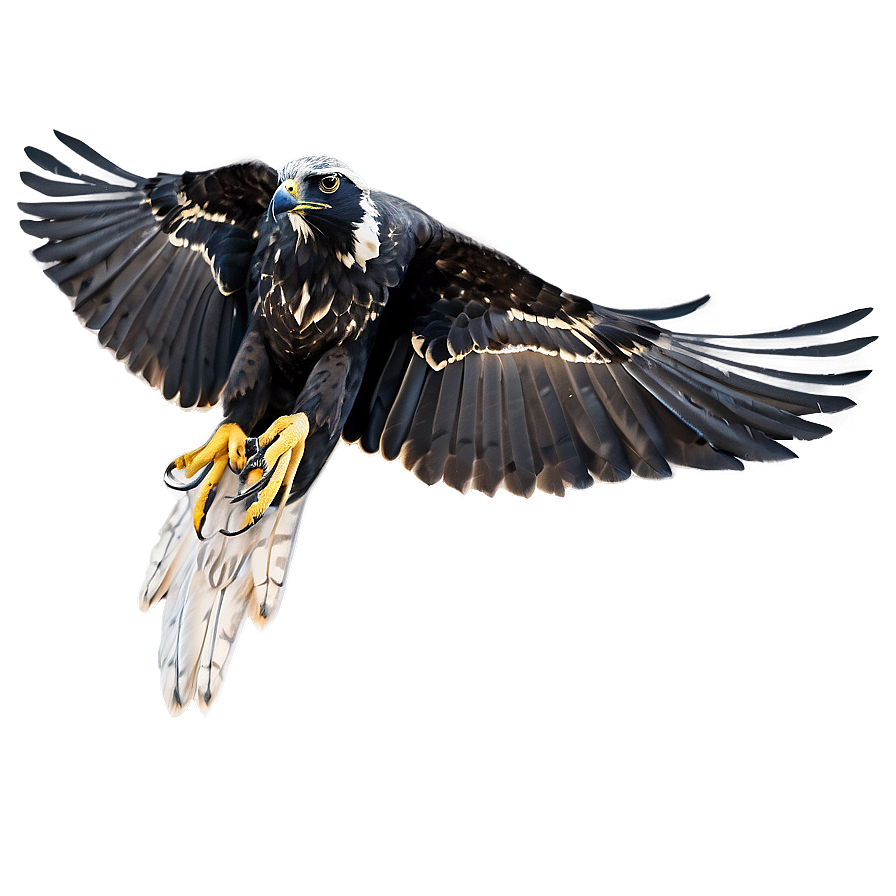 Soaring Falcon Silhouette Png Wmj55