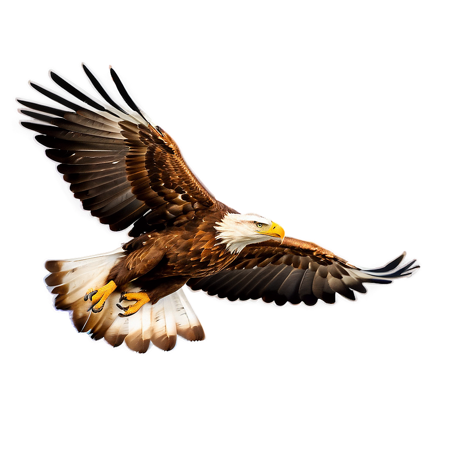 Soaring Golden Eagle Png 06202024