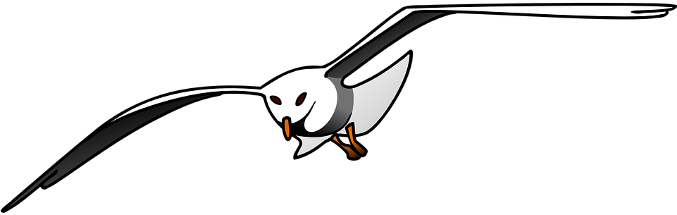 Soaring Seagull Vector Illustration