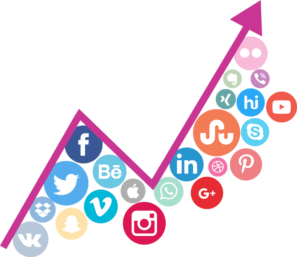 Social Media Growth Graph