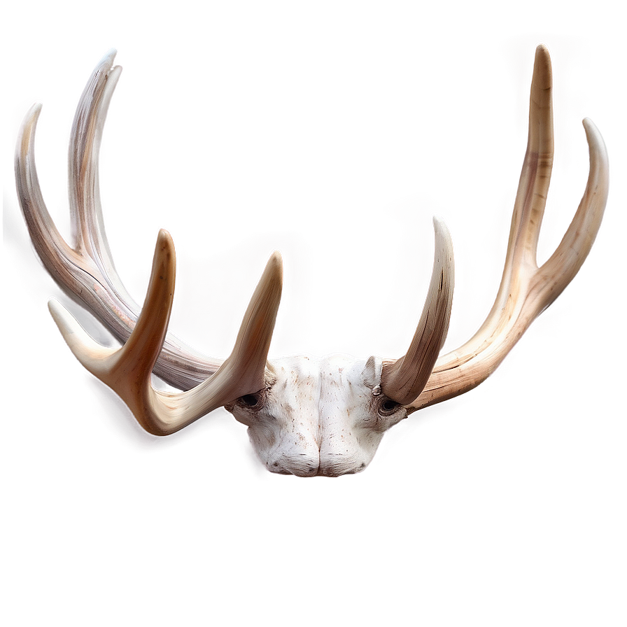 Soft Antler Rendering Png Vqp77