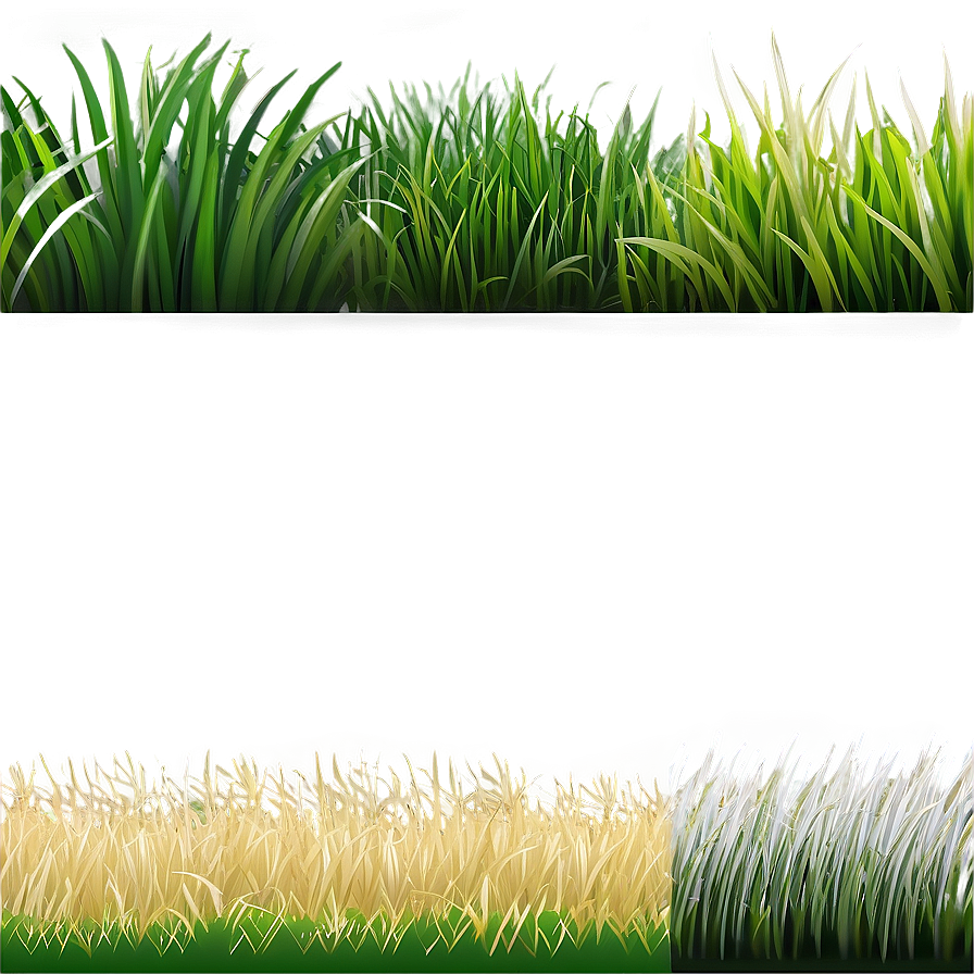 Soft Cartoon Grass Png 06122024