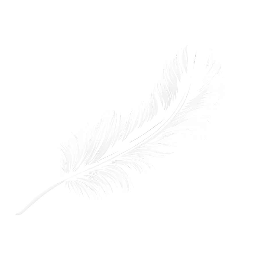 Soft Feather Clipart Png 06252024