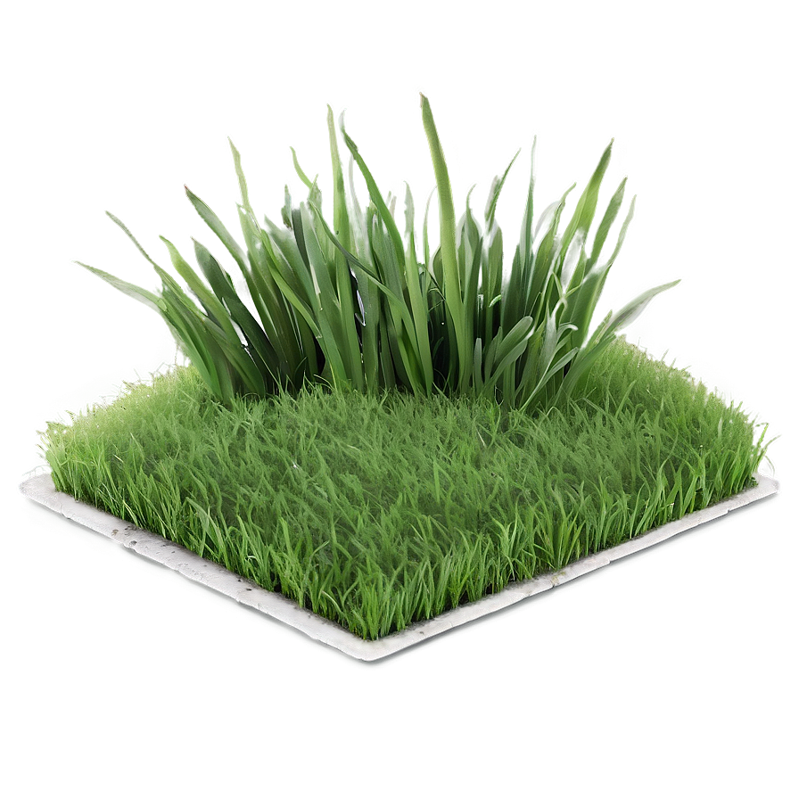 Soft Grass Carpet Png Jmj