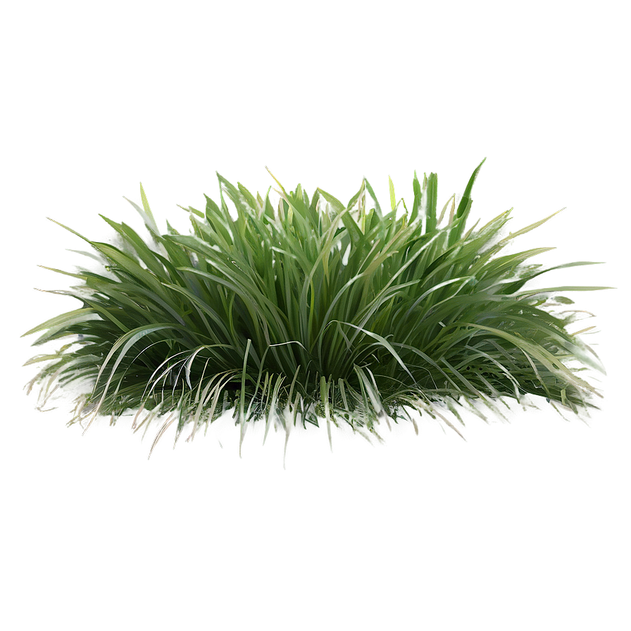 Soft Grass Patch Png 57