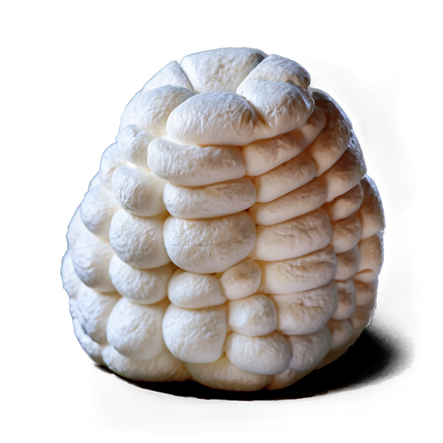 Soft Marshmallow Puff Png 36