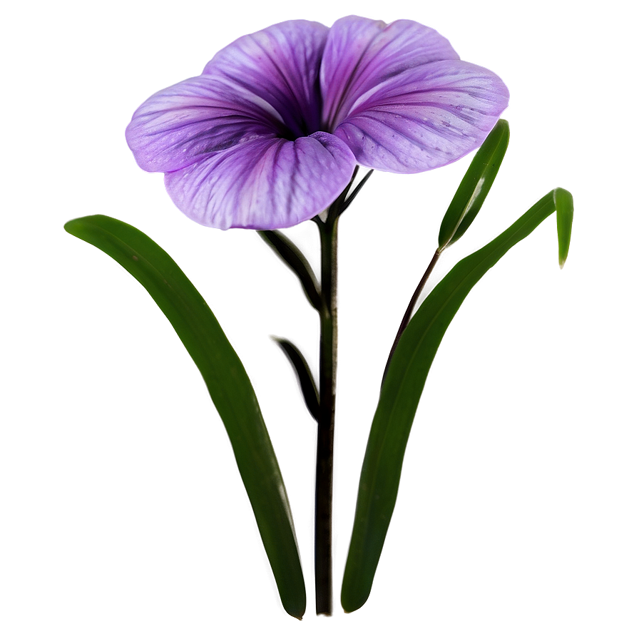 Soft Purple Flower Png 27