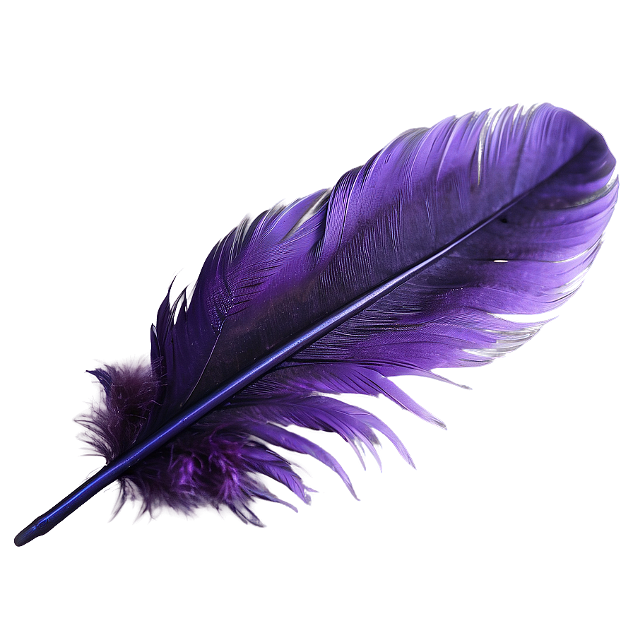 Soft Violet Feather Close-up Png 80