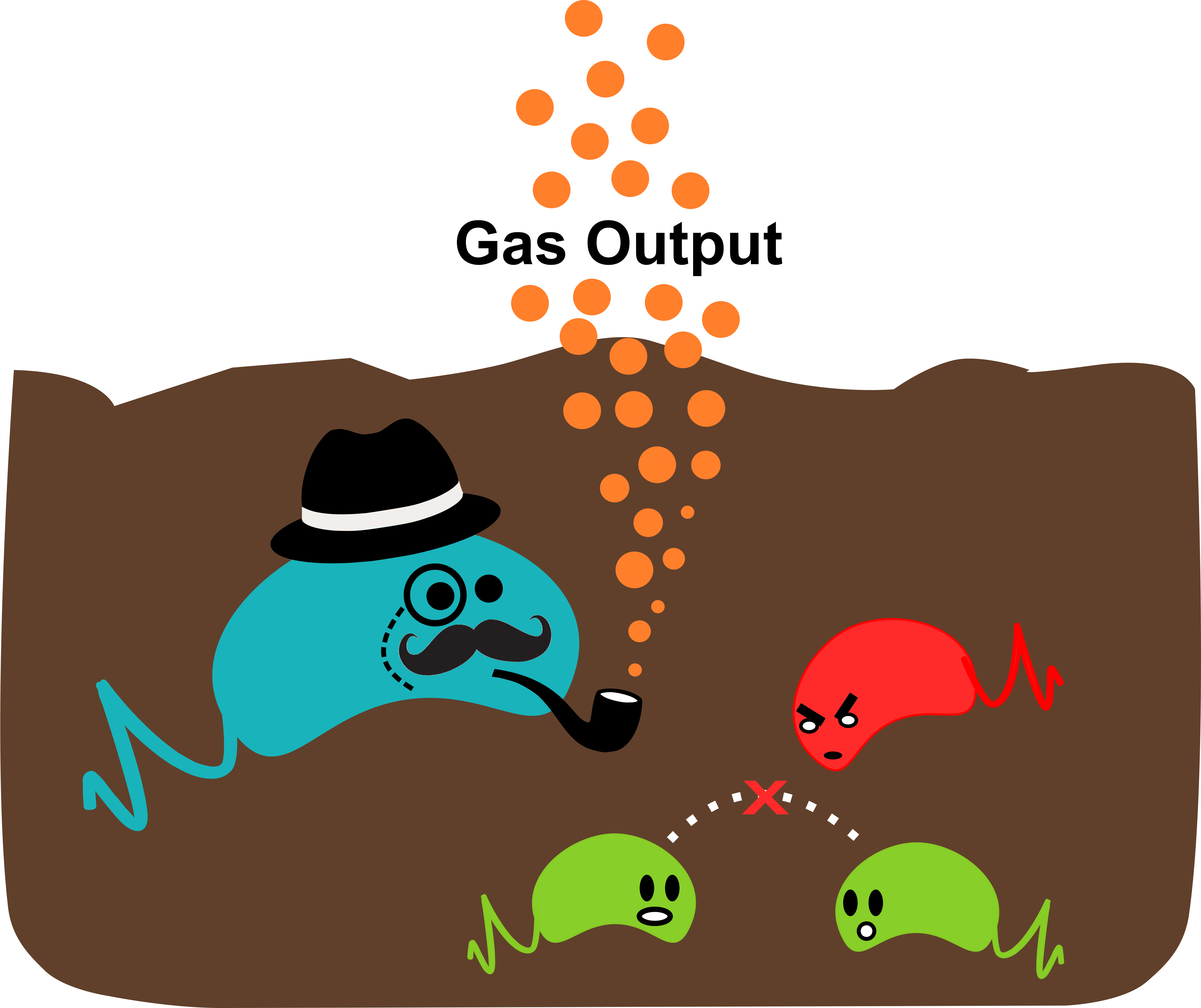 Soil Bacteria Interactionsand Gas Production