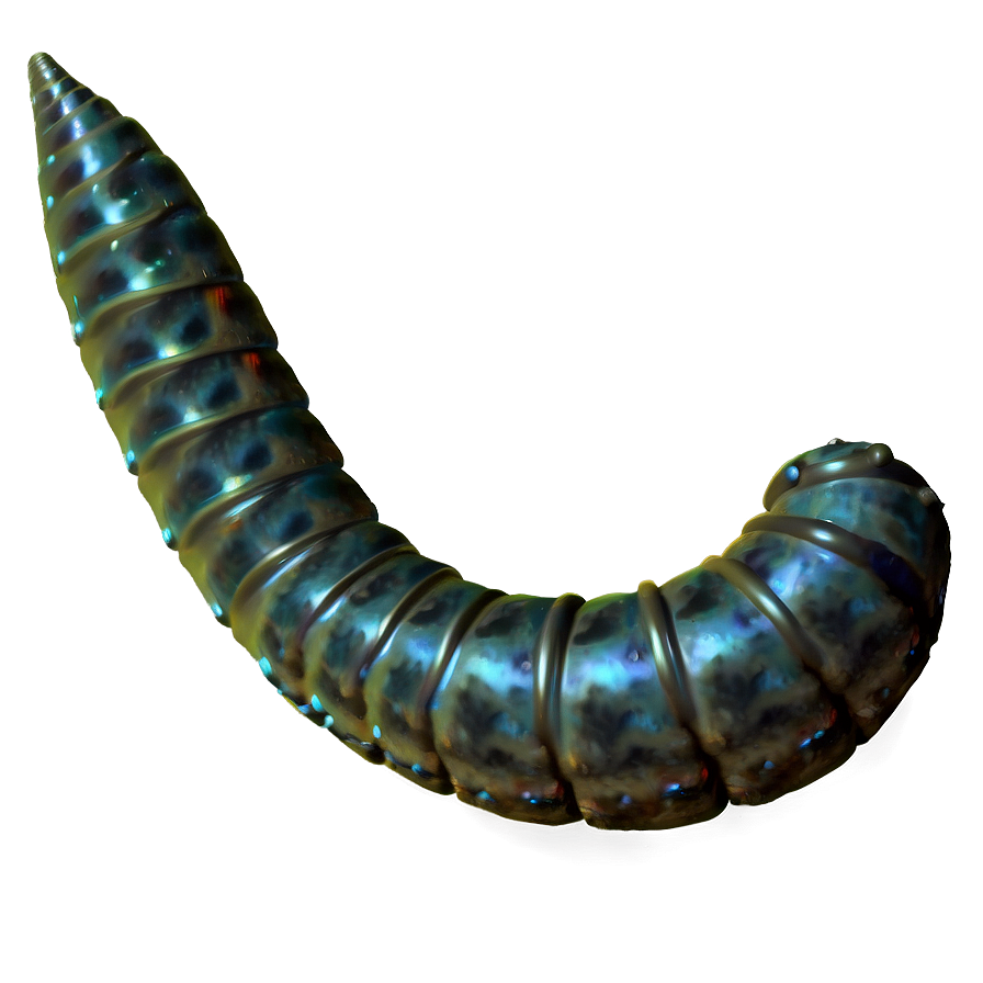 Soil Dwelling Worm Png Atv