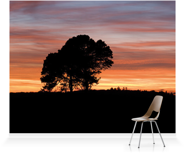 Solitary_ Chair_ Under_ Sunset_ Sky